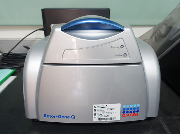 即時定量PCR