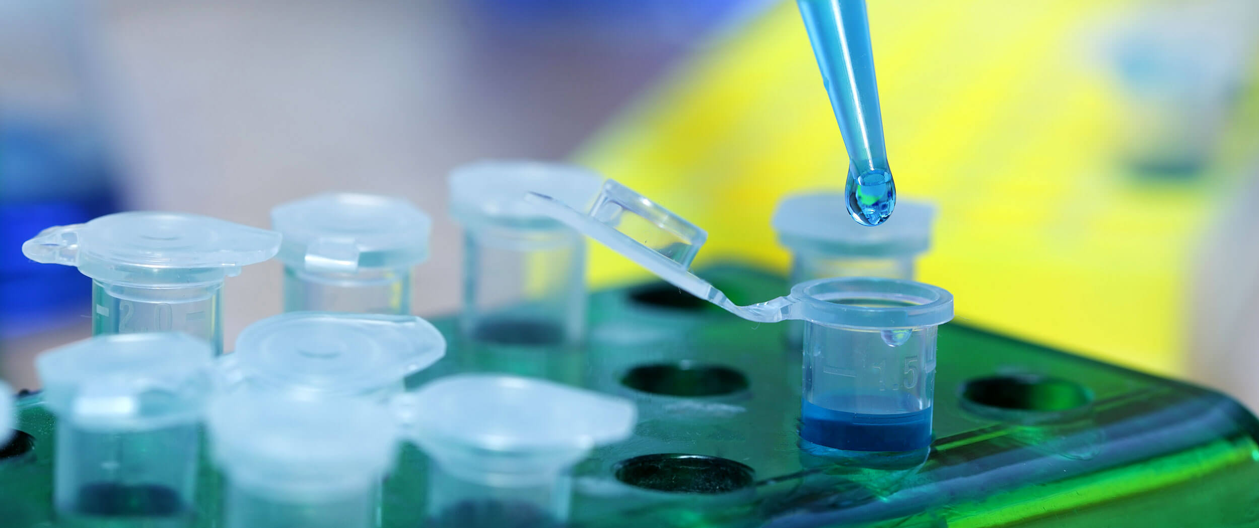 培養海洋生物技術相關所需之人才