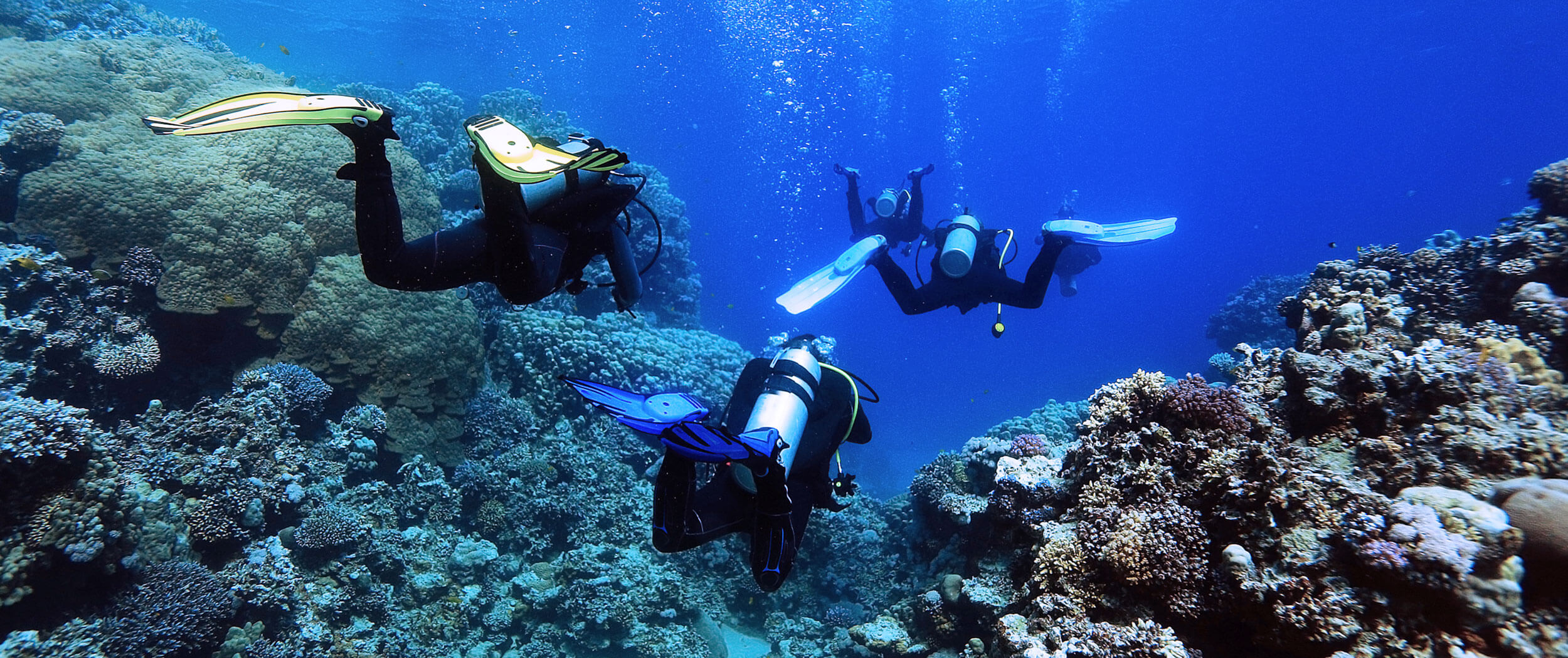  培養海洋生物技術相關所需之人才 