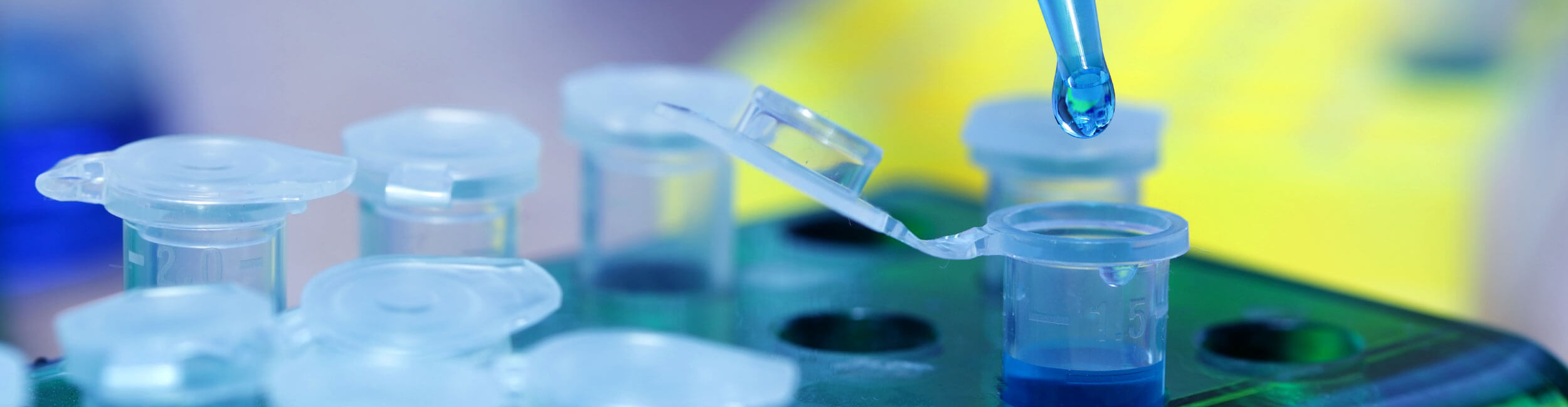 國立高雄科技大學海洋生物技術系